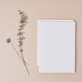 White on White Paper Set