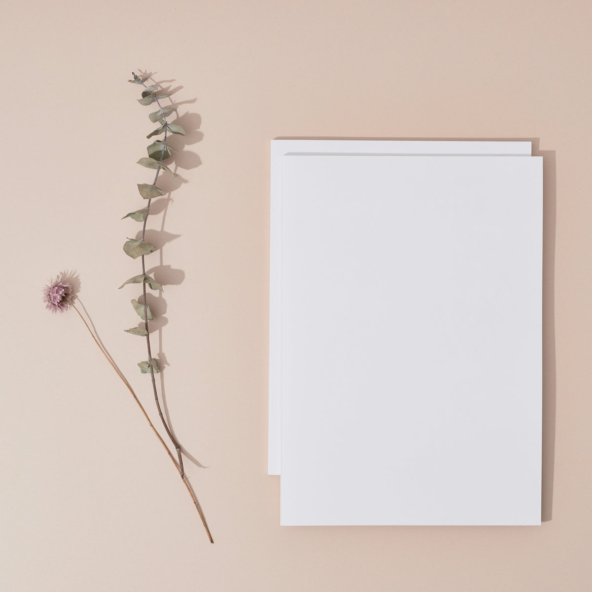 White on White Paper Set